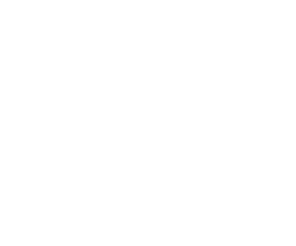 Capital Pets Animal Hospital